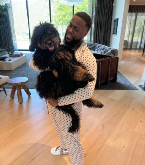 Kevin Hart Instagram - Merry Christmas from the Harts ….Wishing you all a blessed and beautiful Holiday #LiveLoveLaugh