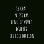 Kevin Miranda Instagram - 👁️ Baruch Spinoza 👁️ 👉 Un Philosophe magnifique (néerlandais d'origine séfarade portugais) 1632-1677 🤓 Mon conseil perso : allez check la chaîne du Précepteur sur Youtube @charles_precepteur🔥 👀 Le soir avant de dormir laissez vous bercer #spinoza #philo #lion #citation #mots #phrase #reflexion #photo #phrases #question #philosophe #philosophie #photooftheday #picture #quote #insta #instadaily #instamood