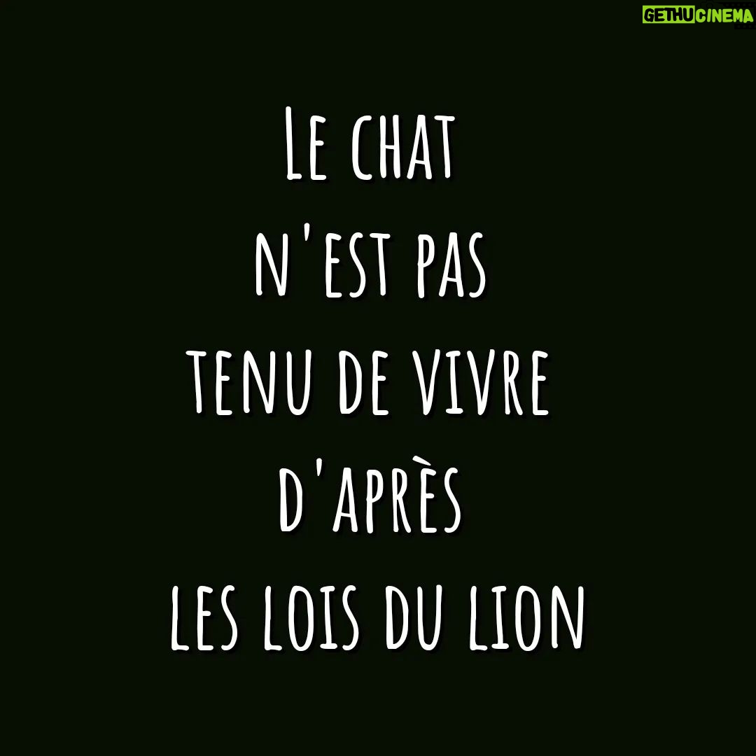 Kevin Miranda Instagram - 👁️ Baruch Spinoza 👁️ 👉 Un Philosophe magnifique (néerlandais d'origine séfarade portugais) 1632-1677 🤓 Mon conseil perso : allez check la chaîne du Précepteur sur Youtube @charles_precepteur🔥 👀 Le soir avant de dormir laissez vous bercer #spinoza #philo #lion #citation #mots #phrase #reflexion #photo #phrases #question #philosophe #philosophie #photooftheday #picture #quote #insta #instadaily #instamood
