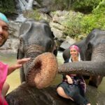 Kevin Miranda Instagram - Une journée avec les éléphants qui restera gravée dans nos mémoires @sarahynob ♥️ 🐘 On rêvait de pouvoir passer un moment avec les éléphants mais on ne voulait pas nourrir un business touristique qui les maltraite Par chance on a rencontré un "jungle man" de la tribu Karen, un peuple qui vit avec les éléphants de génération en génération Si vous êtes près de Chiang Mai au nord de la Thaïlande et que vous souhaitez vivre une expérience unique : @elephants_at_home 🙏 #thailande #chiangmai #animal #karentribe #pix #photo #picture #waterfall #north #thailand #thai #instamood #trip #couplegoals #love #adventure