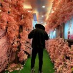 Kevin Miranda Instagram - 🌏 Ça y est j'ai déjà envie de repartir en Asie Mon TOP c'est Japon 🇯🇵 et Vietnam 🇻🇳 C'est quoi ta destination préférée ? #voyage #asia ##sakura #picture #travel #instatravel #aroundtheworld #insta #instagood #trip