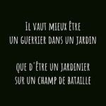 Kevin Miranda Instagram - 👁️ Bruce Lee 👁️ Il a tout dit 😆 C'est bien comme ça que je me vois je crois 😂 Et toi ? #citation #mots #phrase #reflexion #photo #phrases #question #philosophe #philosophie #photooftheday #picture #quote #insta #instadaily #instamood #instagram #brucelee #sagesse