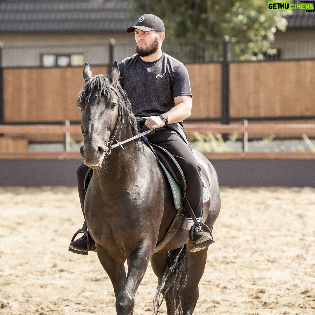 Khabib Nurmagomedov Instagram - My Friend 🐎