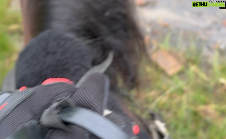 Khabib Nurmagomedov Instagram - Все началось с красивых слов: прогуляемся на природе на лошадях, покушаем, будет хороший Лакский чай и т д и тому подобные красивые слова )))) В общем все началось с селения Кули и закончилось в селении Кунки. 7 часовой поход на лошадях. Просто отличный отдых 👏отдельное спасибо тому кто построил этот маршрут, я надеюсь в своей жизни я узнаю имя этого человека ))) Ты что сделал Вааац @rizvan_magomedov Операция называлась * Кунки где?*