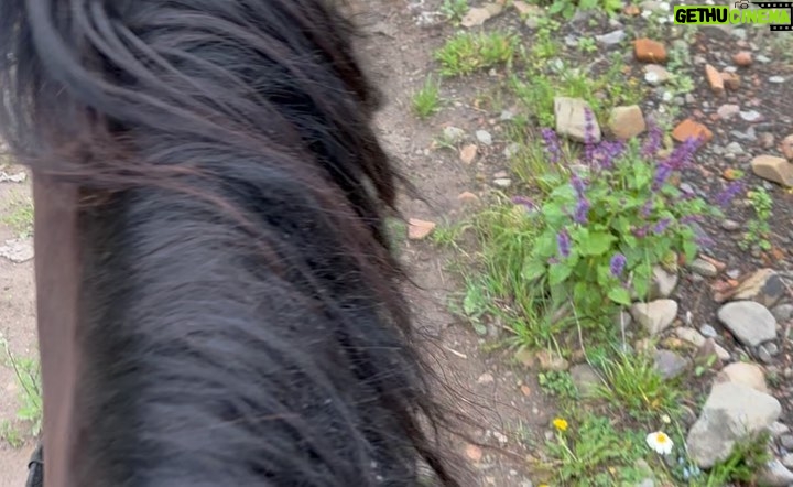 Khabib Nurmagomedov Instagram - Все началось с красивых слов: прогуляемся на природе на лошадях, покушаем, будет хороший Лакский чай и т д и тому подобные красивые слова )))) В общем все началось с селения Кули и закончилось в селении Кунки. 7 часовой поход на лошадях. Просто отличный отдых 👏отдельное спасибо тому кто построил этот маршрут, я надеюсь в своей жизни я узнаю имя этого человека ))) Ты что сделал Вааац @rizvan_magomedov Операция называлась * Кунки где?*