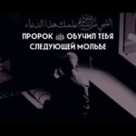 Khabib Nurmagomedov Instagram - 🤲❤️