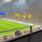 Khabib Nurmagomedov Instagram - Champions League ⚽️ Dortmund 📍