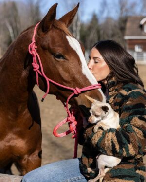 Kim Clavel Instagram - J’ai passé une belle semaine avec ma pouliche.❣️🤠 parfois retourner aux sources, en campagne et avec les animaux,  c’est le meilleur des remèdes quand on a le coeur un peu fragile. ❤️‍🩹 merci @yanickmaltaisphotographie 📸

#horse #quarterhorse #countrylife #lanaudiere #quebec