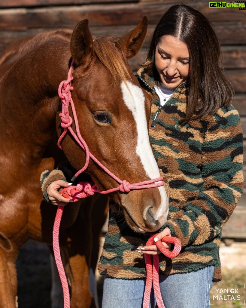Kim Clavel Instagram - Un petit avant-goût de notre journée. KK & KK! #photo #cheval #kk #ranch #superbejournée #pouliche