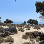 Klelia Andriolatou Instagram - ΚΕΔΡΟΔΑΣΟΣ 🇬🇷🧿 #crete #greece