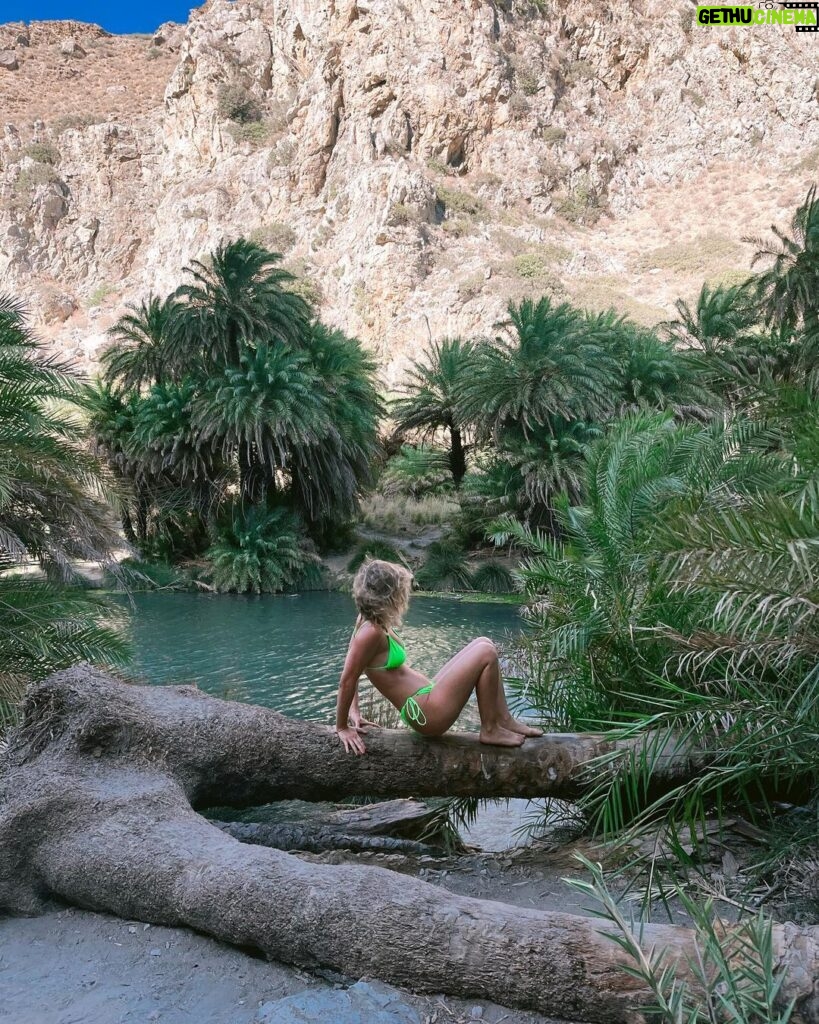 Klelia Andriolatou Instagram - 🌴💚 Φοινικόδασος (Palm Forest)