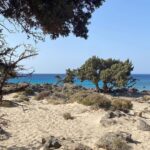 Klelia Andriolatou Instagram - ΚΕΔΡΟΔΑΣΟΣ 🇬🇷🧿 #crete #greece