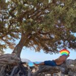 Klelia Andriolatou Instagram - ΚΕΔΡΟΔΑΣΟΣ 🇬🇷🧿 #crete #greece