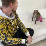 Konstantin Pavlov Instagram – Я старался держать по дальше… правда, очень боюсь всяких диких животных! Гладил пуму, ну как гладил, тронул ее и все, быстро, руку отдернул, мало ли что у неё на уме! С обезьянами тоже был опыт в Тайланде, напали на меня за то, что я не дал им банан! Налетели сразу стаей, не шучу! Змей так же боюсь… короче, очень осторожно отношусь к диким животным! 🤗 а как у вас отношения с такими животными?