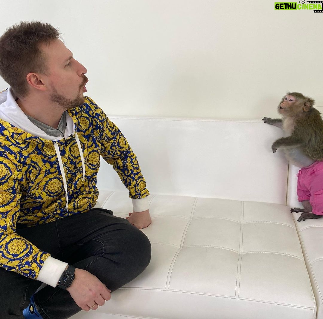 Konstantin Pavlov Instagram - Я старался держать по дальше… правда, очень боюсь всяких диких животных! Гладил пуму, ну как гладил, тронул ее и все, быстро, руку отдернул, мало ли что у неё на уме! С обезьянами тоже был опыт в Тайланде, напали на меня за то, что я не дал им банан! Налетели сразу стаей, не шучу! Змей так же боюсь… короче, очень осторожно отношусь к диким животным! 🤗 а как у вас отношения с такими животными?