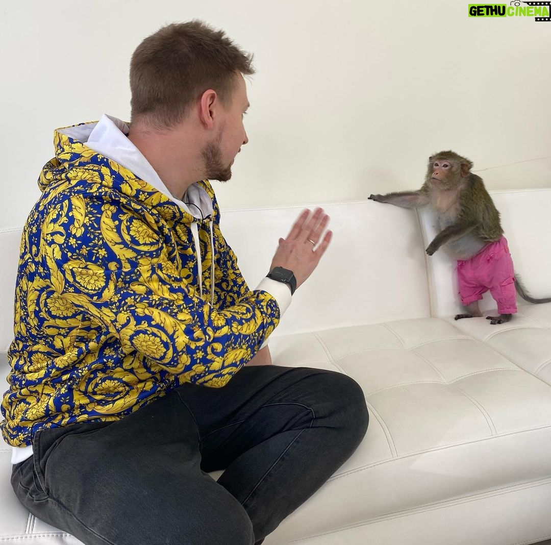 Konstantin Pavlov Instagram - Я старался держать по дальше… правда, очень боюсь всяких диких животных! Гладил пуму, ну как гладил, тронул ее и все, быстро, руку отдернул, мало ли что у неё на уме! С обезьянами тоже был опыт в Тайланде, напали на меня за то, что я не дал им банан! Налетели сразу стаей, не шучу! Змей так же боюсь… короче, очень осторожно отношусь к диким животным! 🤗 а как у вас отношения с такими животными?