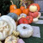 Kourtney Kardashian Barker Instagram - one month 🍂🌻🎃🛵🥐 Autumn mood