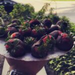Kresh Instagram - 🍓🍫 Miami, Florida