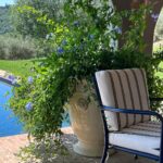 Kris Jenner Instagram - Under the Tuscan sun 🇮🇹☀️