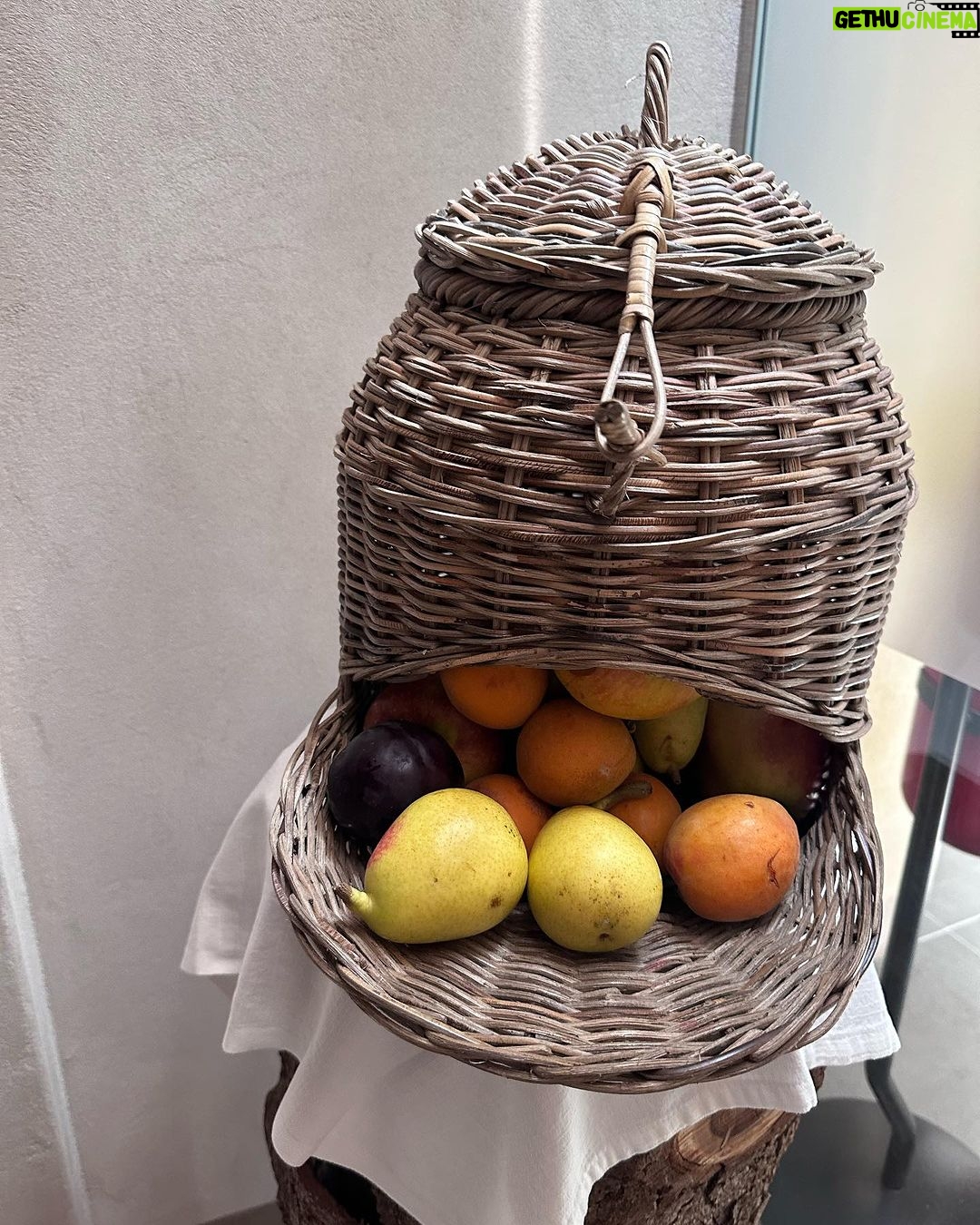 Kris Jenner Instagram - Under the Tuscan sun ๐ฎ๐นโ๏ธ