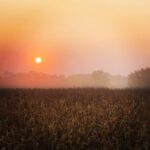 Kristen Holden-Ried Instagram - Gotta love early country morning air... Morning!!