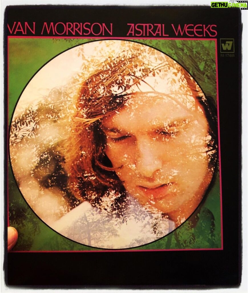 Kristen Holden-Ried Instagram - This ones up. Hope you’ve all had a chance to sample this exquisite beauty. #vanmorrison #astralweeks