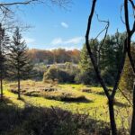Kristen Holden-Ried Instagram - Sunshine Meadows vibes… Big fall love to y’all.