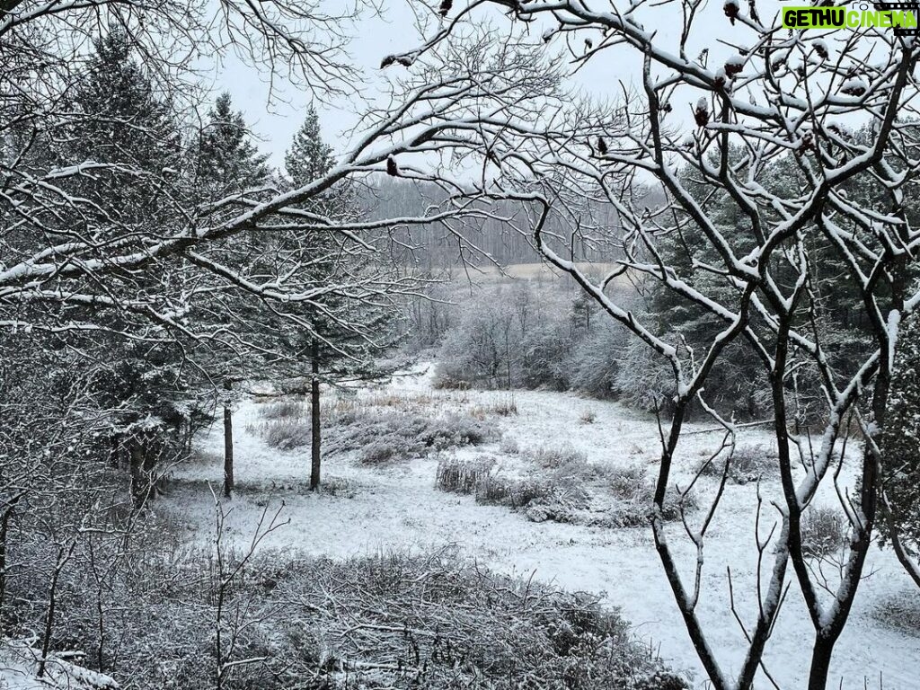Kristen Holden-Ried Instagram - Good morning snow :) #winter