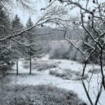 Kristen Holden-Ried Instagram - Good morning snow :) #winter