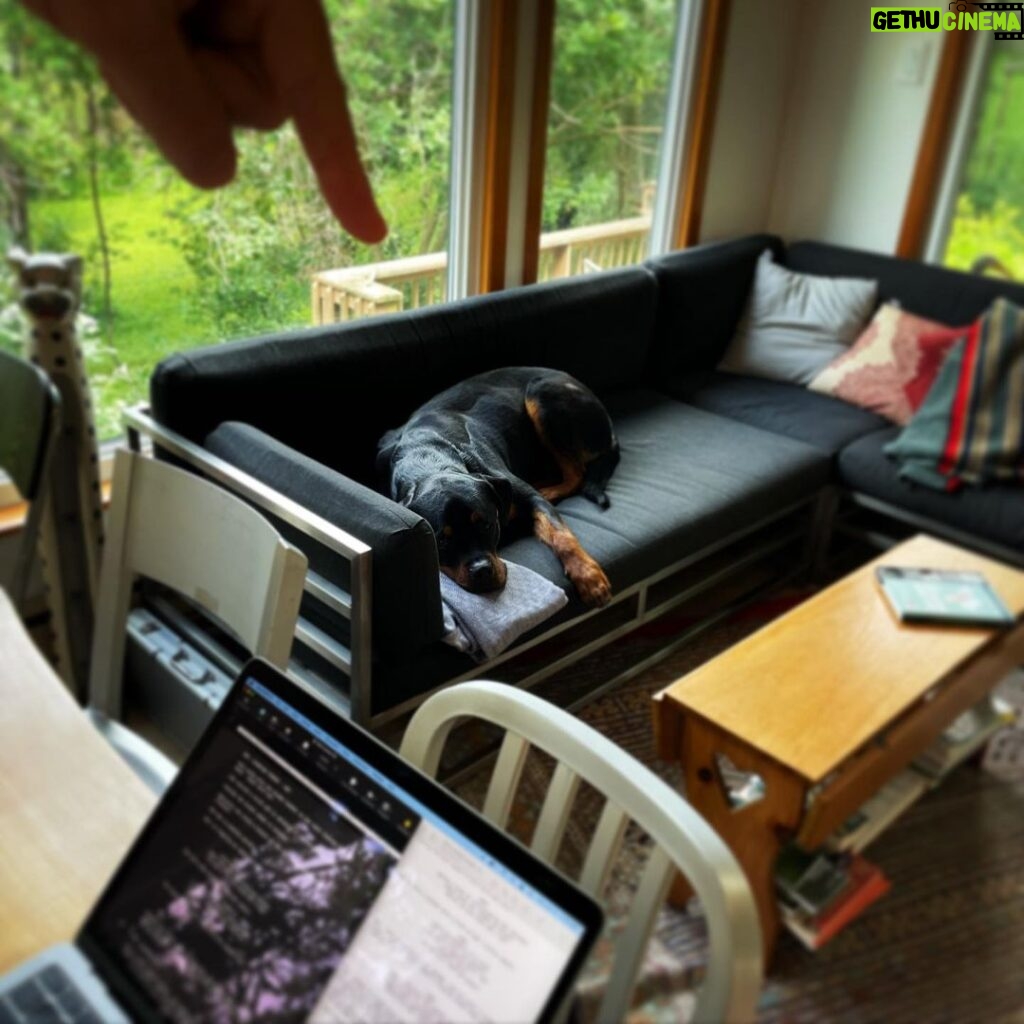 Kristen Holden-Ried Instagram - My writing partner… #writing #rottweiler