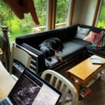 Kristen Holden-Ried Instagram - My writing partner… #writing #rottweiler