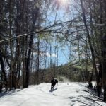 Kristen Holden-Ried Instagram - Winter woods wonder wander with woof welcomes weekend… Little Friday alliteration for ya 😜 Happy weekend all !! Big love #woods #walk #dog #wonderwander (Yay! wonder wander is a hashtag!)