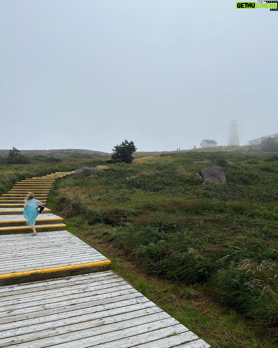 Kristen Schaal Instagram - Just hanging out on the most east coast. The absolute eastest. You can’t get more east in North America than Cape Spear, Newfoundland. It’s not a contest, but it wins East. Also so lovely.