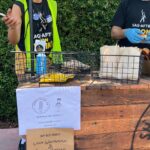 Kristen Schaal Instagram - Still out here! Reposting! Thank you to the strike captains, everyone providing coffee and food and haircuts! Thank you to this community for being so lovely. And thank you to Rich for striking with me now!