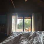 Kritika Kamra Instagram - This year started with a calm, restorative, do-nothing, go-nowhere, meet-nobody kinda getaway for me. ‘Forest bathing’ or what the Japanese call ‘Shinrin Yoku’ is a cool sounding simple concept. It’s an escape to the jungle where you walk in the woods, soak up the sun and fresh scent of nature, wake up to birdsong and open your senses to things around you. (Things totally normal and part of regular life back in my hometown, my parents will laugh at me) I’m back to the city and the grind with a tan, some usual holiday guilt, and a lot of plans for this year.. well, this month actually. But the little(very) time I spent away from my phone and with my thoughts has given me an idea of what I want 2024 to be like. This year is going to be about doing what the hell I want, when I want. Evolve at my own pace, move mindfully, with authenticity and courage. I’m not interested in what I “should” be doing to be successful. I will write my own script and edit it as many times as needed. Netravali Wild Life Sanctuary