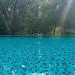 Kritika Kamra Instagram - This year started with a calm, restorative, do-nothing, go-nowhere, meet-nobody kinda getaway for me. ‘Forest bathing’ or what the Japanese call ‘Shinrin Yoku’ is a cool sounding simple concept. It’s an escape to the jungle where you walk in the woods, soak up the sun and fresh scent of nature, wake up to birdsong and open your senses to things around you. (Things totally normal and part of regular life back in my hometown, my parents will laugh at me) I’m back to the city and the grind with a tan, some usual holiday guilt, and a lot of plans for this year.. well, this month actually. But the little(very) time I spent away from my phone and with my thoughts has given me an idea of what I want 2024 to be like. This year is going to be about doing what the hell I want, when I want. Evolve at my own pace, move mindfully, with authenticity and courage. I’m not interested in what I “should” be doing to be successful. I will write my own script and edit it as many times as needed. Netravali Wild Life Sanctuary