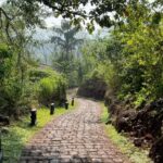 Kritika Kamra Instagram - This year started with a calm, restorative, do-nothing, go-nowhere, meet-nobody kinda getaway for me. ‘Forest bathing’ or what the Japanese call ‘Shinrin Yoku’ is a cool sounding simple concept. It’s an escape to the jungle where you walk in the woods, soak up the sun and fresh scent of nature, wake up to birdsong and open your senses to things around you. (Things totally normal and part of regular life back in my hometown, my parents will laugh at me) I’m back to the city and the grind with a tan, some usual holiday guilt, and a lot of plans for this year.. well, this month actually. But the little(very) time I spent away from my phone and with my thoughts has given me an idea of what I want 2024 to be like. This year is going to be about doing what the hell I want, when I want. Evolve at my own pace, move mindfully, with authenticity and courage. I’m not interested in what I “should” be doing to be successful. I will write my own script and edit it as many times as needed. Netravali Wild Life Sanctuary