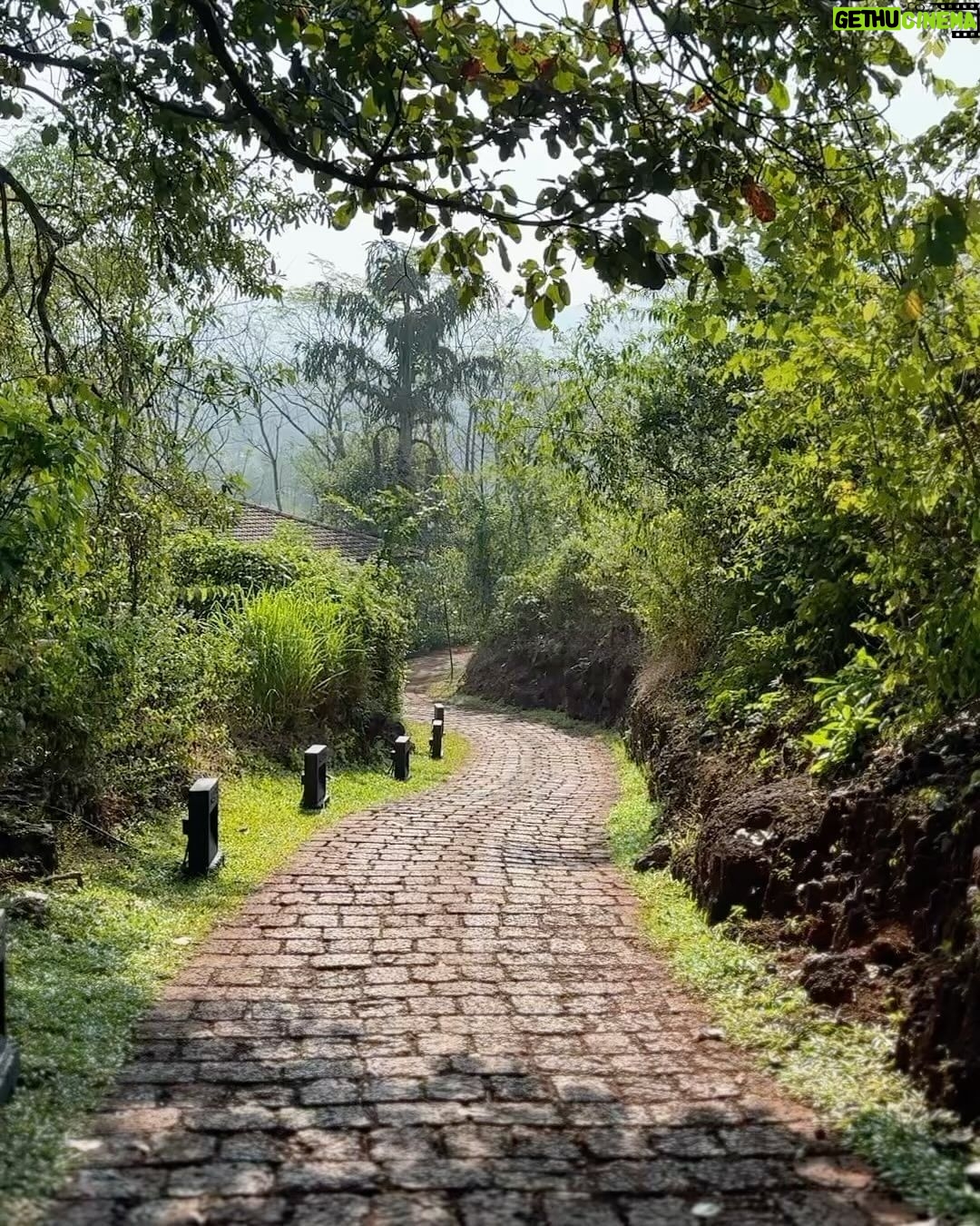 Kritika Kamra Instagram - This year started with a calm, restorative, do-nothing, go-nowhere, meet-nobody kinda getaway for me. ‘Forest bathing’ or what the Japanese call ‘Shinrin Yoku’ is a cool sounding simple concept. It’s an escape to the jungle where you walk in the woods, soak up the sun and fresh scent of nature, wake up to birdsong and open your senses to things around you. (Things totally normal and part of regular life back in my hometown, my parents will laugh at me) I’m back to the city and the grind with a tan, some usual holiday guilt, and a lot of plans for this year.. well, this month actually. But the little(very) time I spent away from my phone and with my thoughts has given me an idea of what I want 2024 to be like. This year is going to be about doing what the hell I want, when I want. Evolve at my own pace, move mindfully, with authenticity and courage. I’m not interested in what I “should” be doing to be successful. I will write my own script and edit it as many times as needed. Netravali Wild Life Sanctuary