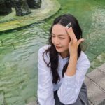 Kung Ching-Ting Instagram - 最近小煩惱：萬聖節要扮什麼？ #🐸 #🐊 #🦖 #🦎 #🐢 #🐛 信義區商圈