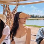 Kung Ching-Ting Instagram – #🦒 
去泰國最期待的就是北碧府的野生動物園
超近距離餵食長頸鹿🦒
還能一起在吉普車上拍照完全是網美聖地🥹

加1000泰銖可以選擇遛豹或老虎一圈
路上會餵食生肉讓老虎坐下來合照
大貓咪真的超可愛
吃東西時還會發出咕嚕咕嚕的聲音😍😍😍😍

裡面還有各種奇形怪狀的動物
能摸能抱只是要錢錢🥲
離曼谷2小時車程
占地非常大可以玩一整天
推薦給趁著還不太熱時想去泰國的朋朋✨

#safaripark #kanchanaburi 
#泰國 #泰國旅遊 #北碧府 #🦓 #🐯 #🐅 
#網美景點 Safari Park, Kanchanaburi