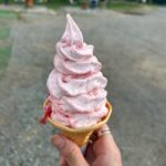 Kurumi Shimizu Instagram - 先日、お仕事で熊本へ！ ゾロにも会えたし、今まででいちばん美味しいいちごソフトにも出会えて幸せでした🫶🍓みんな後ろ向いてる🌻もかわいい 明日から更に寒くなるそう、みなさん風邪ひきませんように… わたしは花粉にやられとります🤧🌾