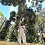Kusuma Degalamari Instagram - Wayanad Trip 🌳 Photo Dump 1 P.S swipe to the final image to witness my brave stunt 🧐😂 Wayand, travel, travel diaries, travel photoshoot, ootd, photography, travel life, trip, therapy, vacation, holiday, kerala, nature, trees , activities, stunts, food, Wayanad, India