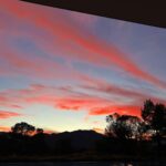 Kylie Jenner Instagram - 🐶 + 🌅