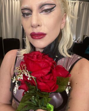 Lady Gaga Instagram - I’m sorry i couldn’t finish the show it was too dangerous the lightening was being unpredictable and changing moment by moment, I love you. Look, for years some of you have called me “mother monster,” in my heart I knew it was better to keep you safe.  Thank you for believing in me. This was the greatest tour of my life and I will cherish this moment forever—it took a long time for me to heal, but I did. Sure, OF COURSE, I wanted to sing rain on me for you in the rain. “I’d rather be dry, but at least I’m alive”—I guess somehow I knew this moment would happen and I am so grateful to you, my dancers, my band the whole crew everyone my family and friends.  Safety first.  Love you. Thank you for the flowers and the cheers and for understanding. Life matters.
#thechromaticaball