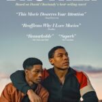 Lamar Johnson Instagram - One night changes everything. From acclaimed director Clement Virgo, based on the award-winning novel, this is BROTHER. Now streaming on @netflix