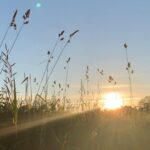 Lamar Johnson Instagram - Love brought me here