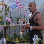 Lamar Johnson Instagram - Time and attention