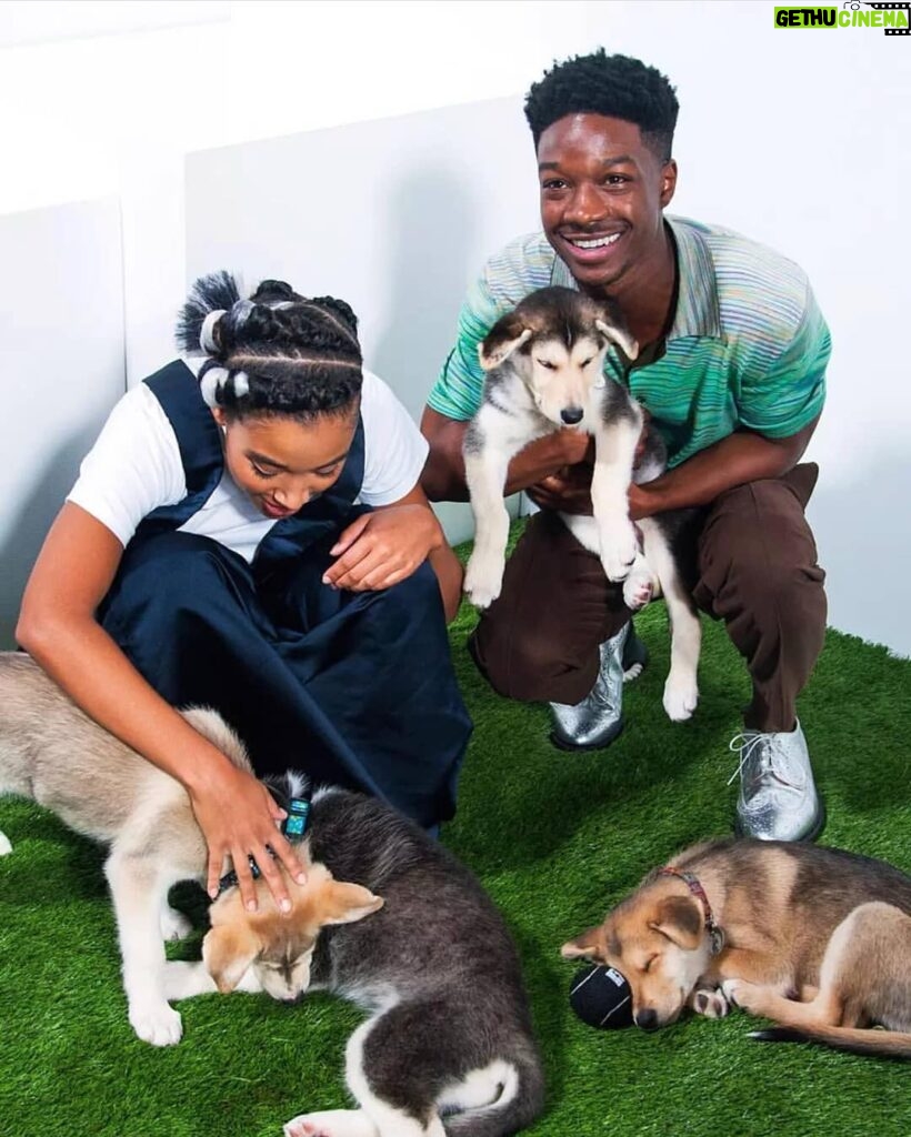 Lamar Johnson Instagram - Me and sis embracing some pups for @people x @entertainmentweekly #findingthemhomes #tiff18