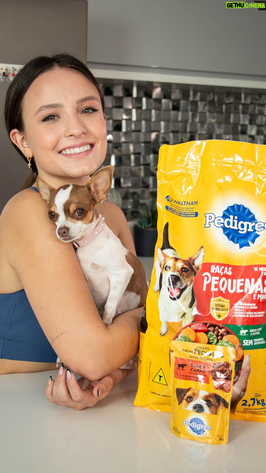 Larissa Manoela Instagram - Quem aí vai aderir a essa misturinha secreta de energia? Pode confiar que seu cachorro vai amar a ração seca misturada com sachê úmido PEDIGREE®️. Além de muito saborosa e nutritiva, ajuda a manter seu pet hidratado. A Minnie adora 💛 Seu cão já provou? 🐶