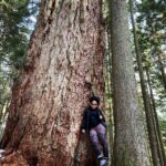 Latonya Williams Instagram - Biggest baddest B in the forest and she ain’t sorry. #thatsabigtree #Hollyburnfir #blessed #badass #bossbabe #explorebc #vancouver #hiking #hikingadventures #fitgirls #fitspo #actor #vancouveractor